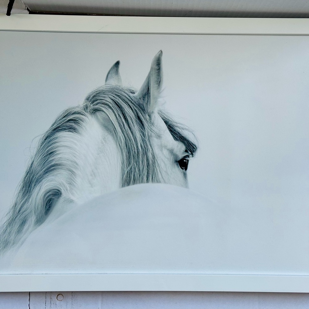 Custom Framed Horse Wall Art in Black and White